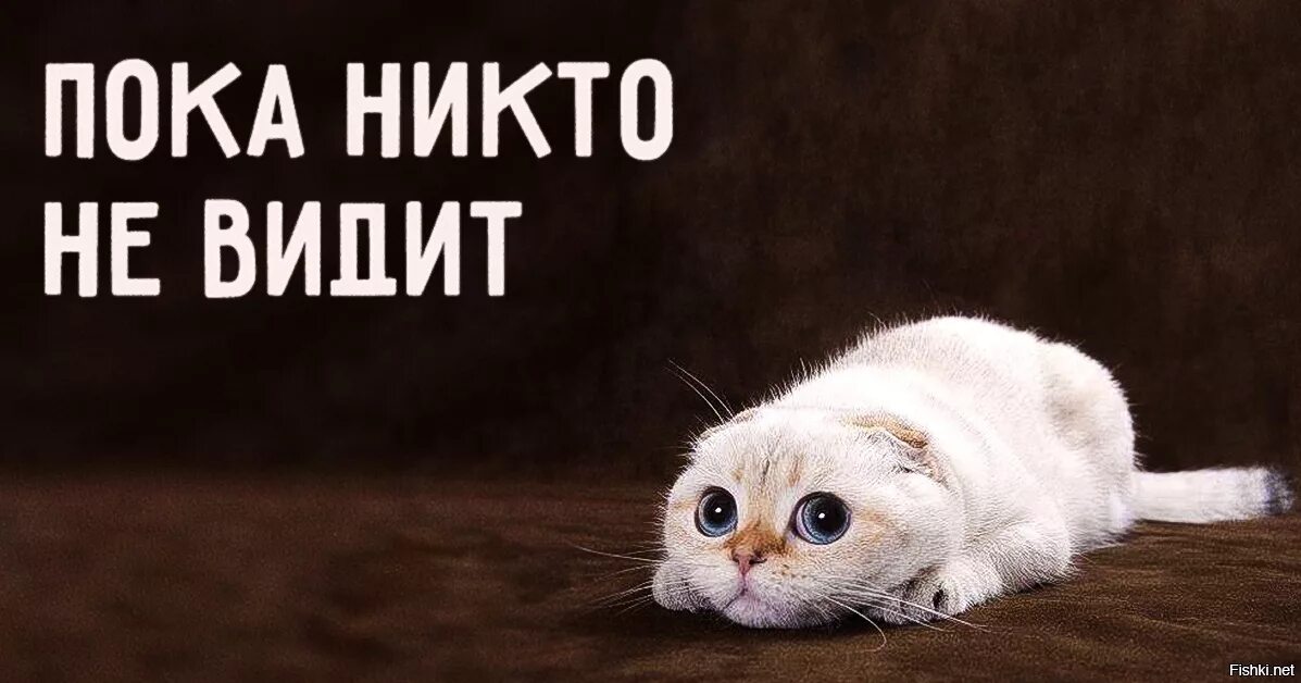 Пока никто не. Пока прикольные. Пока прикол. Пока никто не видит. Фото пока.