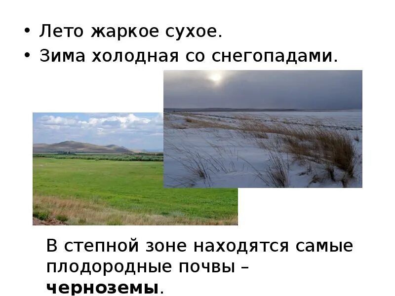 Угадай природную зону