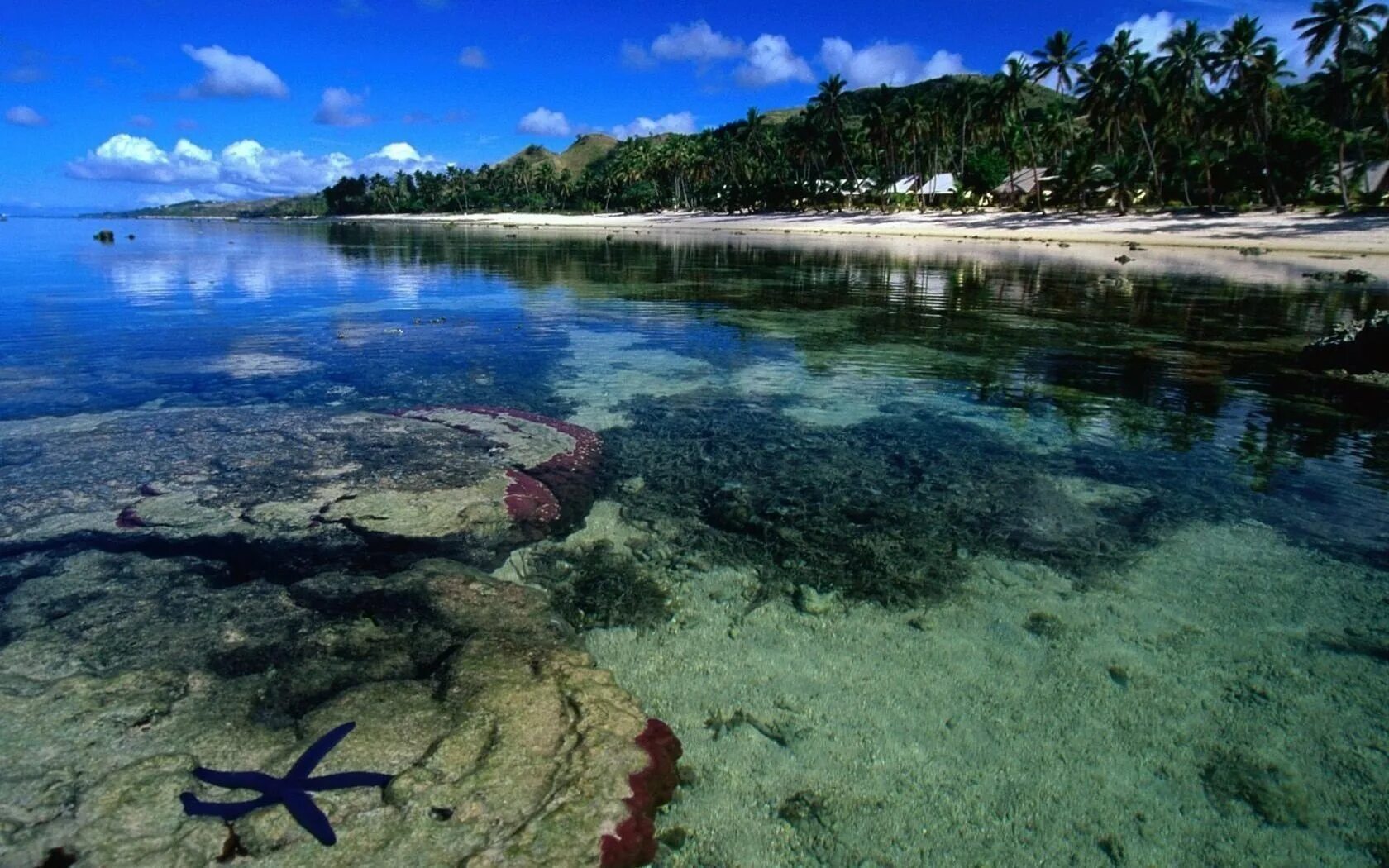 Воды карибских островов. Вити Леву Фиджи. Остров Фиджи. Остров ВОМО Фиджи. Вити-Леву вода Fiji.