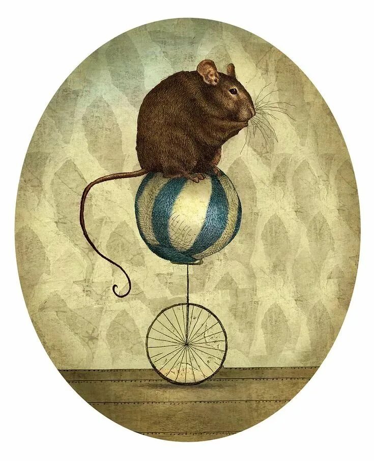 Винтажный цирк иллюстрации. Цирковая крыса. Цирковая мышь. Крысы в цирке.