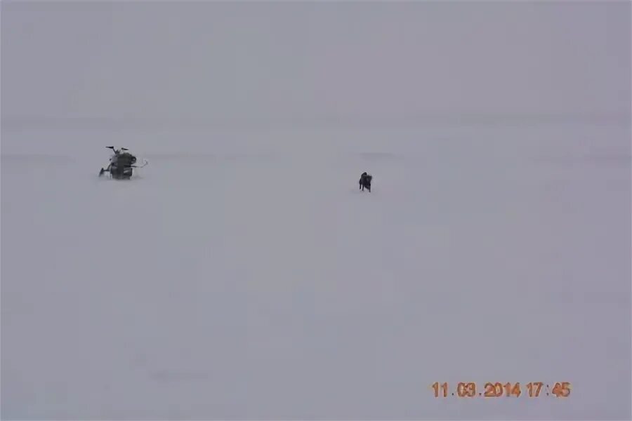 Вести с водоемов обское водохранилище. Вести с водоемов обское водохранилище