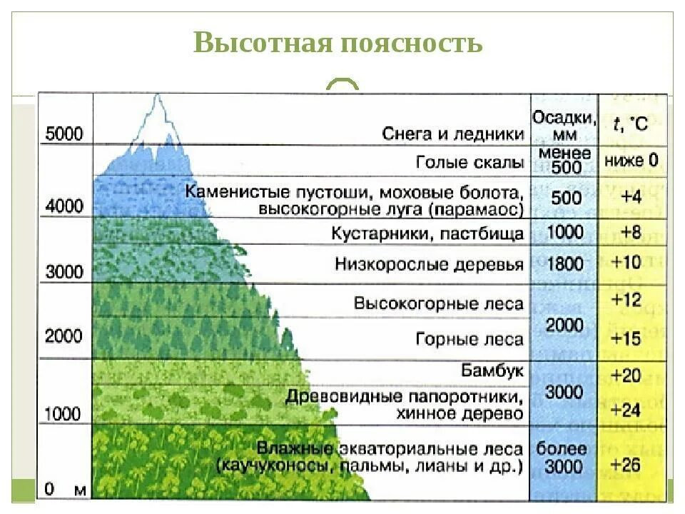 Как изменяются климатические показатели в горах. Высотная поясность Урала таблица. Высотная поясность Алтая. Высотная поясность Саяны. Высотная поясность Южного Урала таблица.