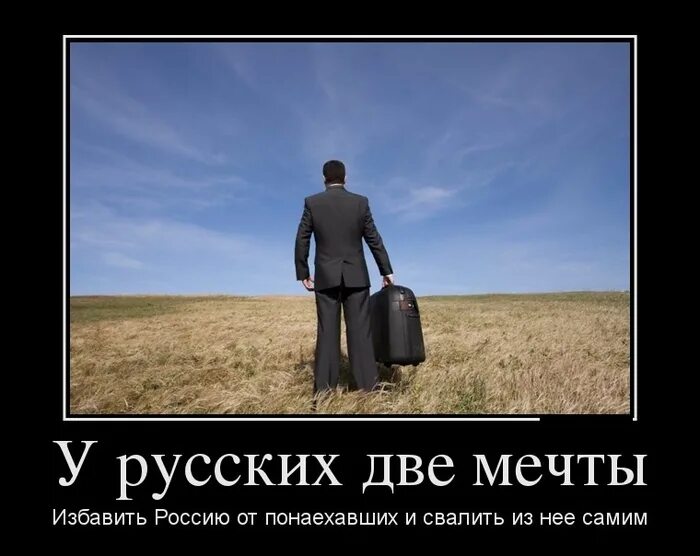 Что такое демотиватор. Демотиваторы. лучшие демотиваторы. демотиваторы юмор. свалить из россии.