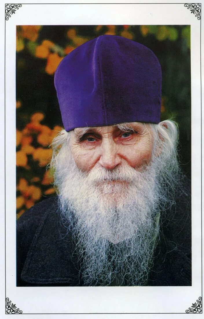 илий ноздрин 2022. андрей шишкин травник. старец лечит. отец илия оптина пустынь. старец лечит.