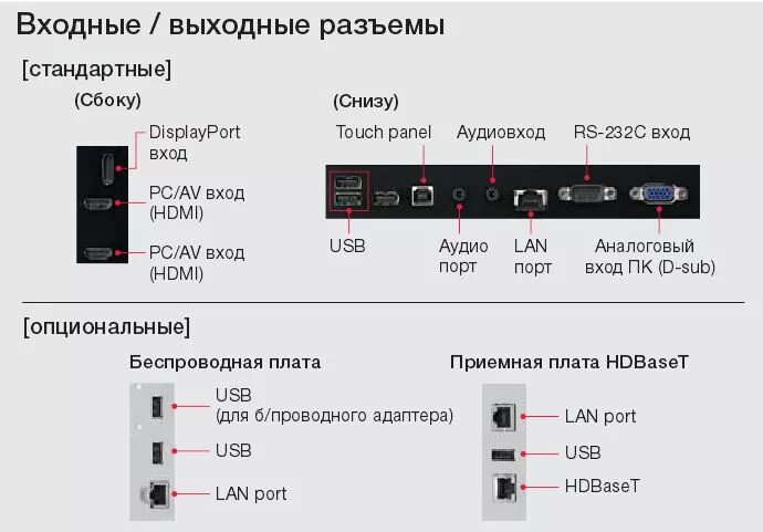 Вход снизу. Интерактивная панель Sharp pn40tc1. Разъёмы и гнёзда проектора.. Перечислите входные и выходные разъемы проектора. Входные и выходные разъемы мультимедийного проектора.