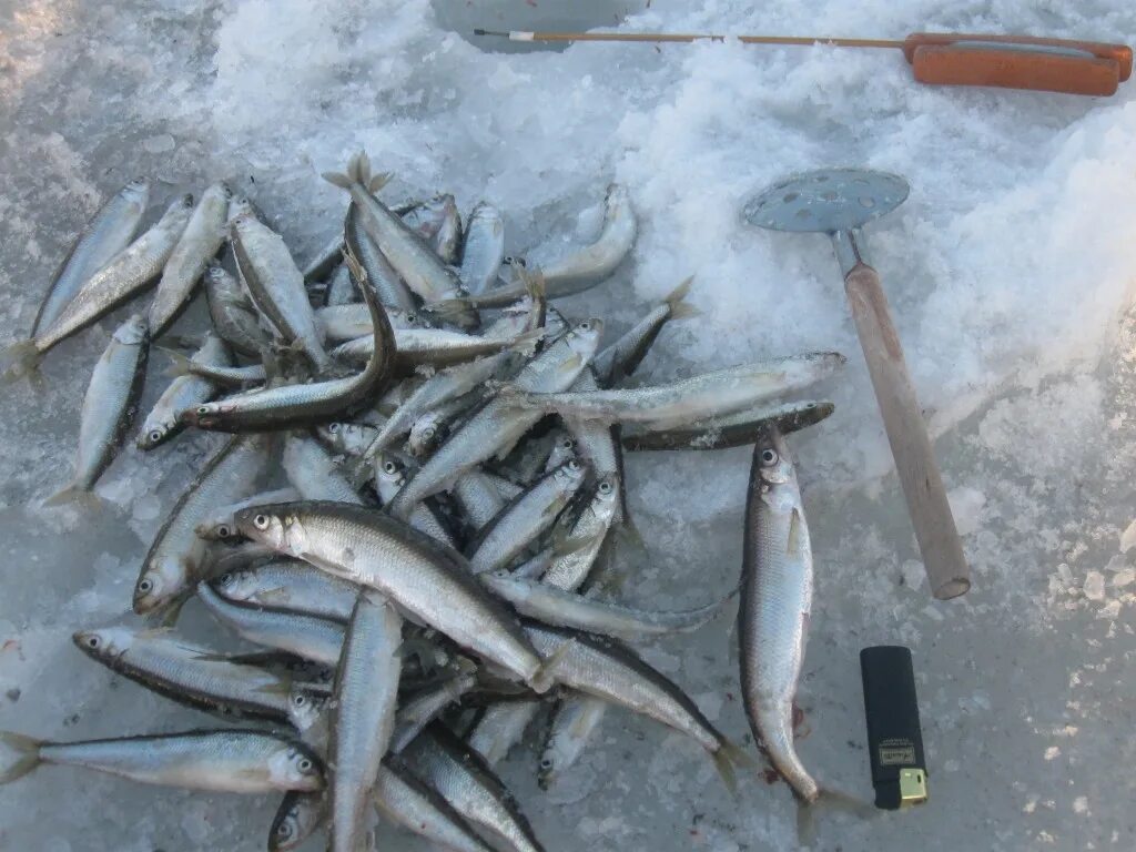 лефу владивосток