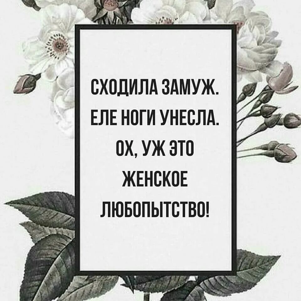 Песня замуж не пойду. Замуж не пойду. Замуж пойдешь. Еле еле ноги унес. Сходила замуж еле ноги унесла.