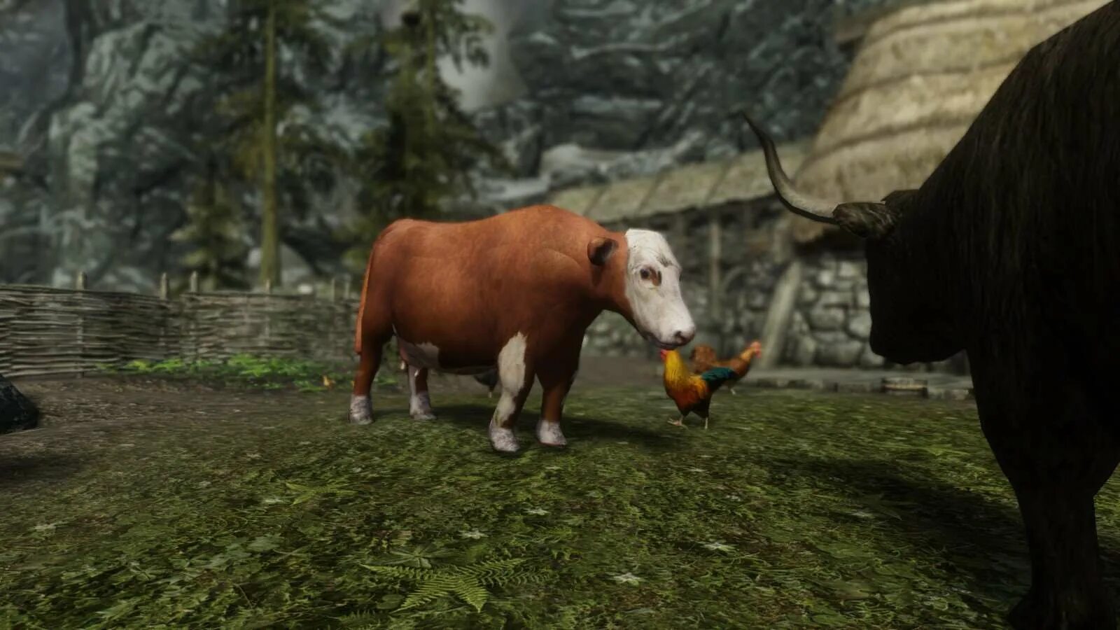 Animals skyrim. Коровы Скайрима. Мод being a Cow. Скайрим домашние животные. Скайрим корова.