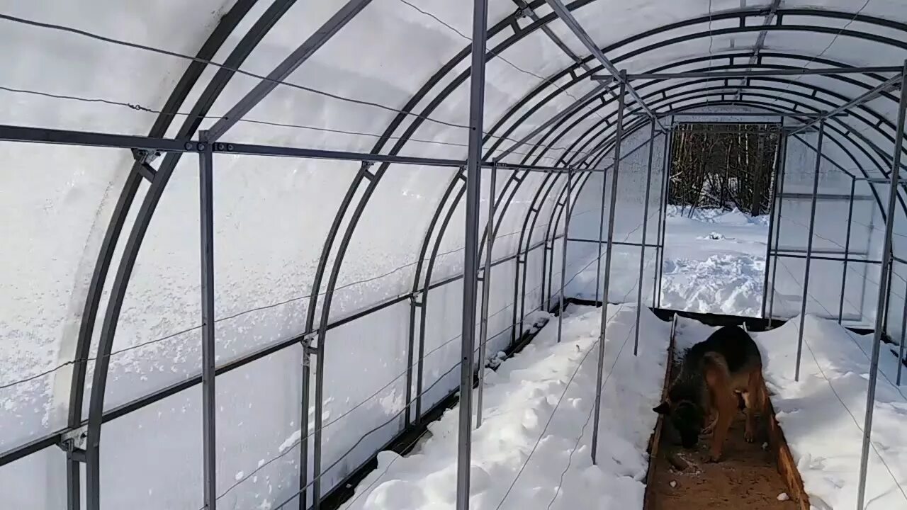 Виноград в поликарбонатной теплице. Шпалеры для винограда в теплице из поликарбоната. Шпалера для винограда в теплице. Пристенная теплица для винограда. Теплица для винограда