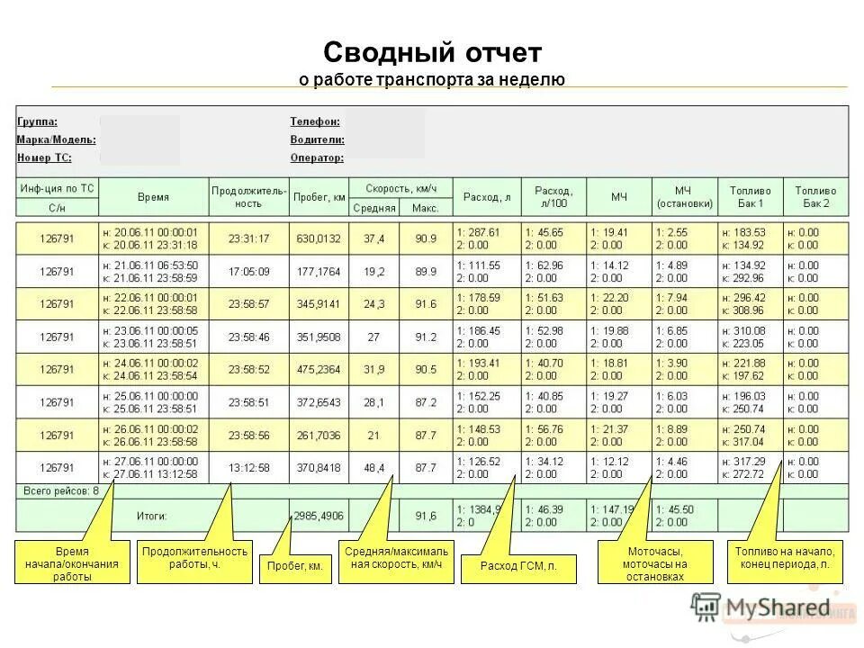 мониторинг амурская область