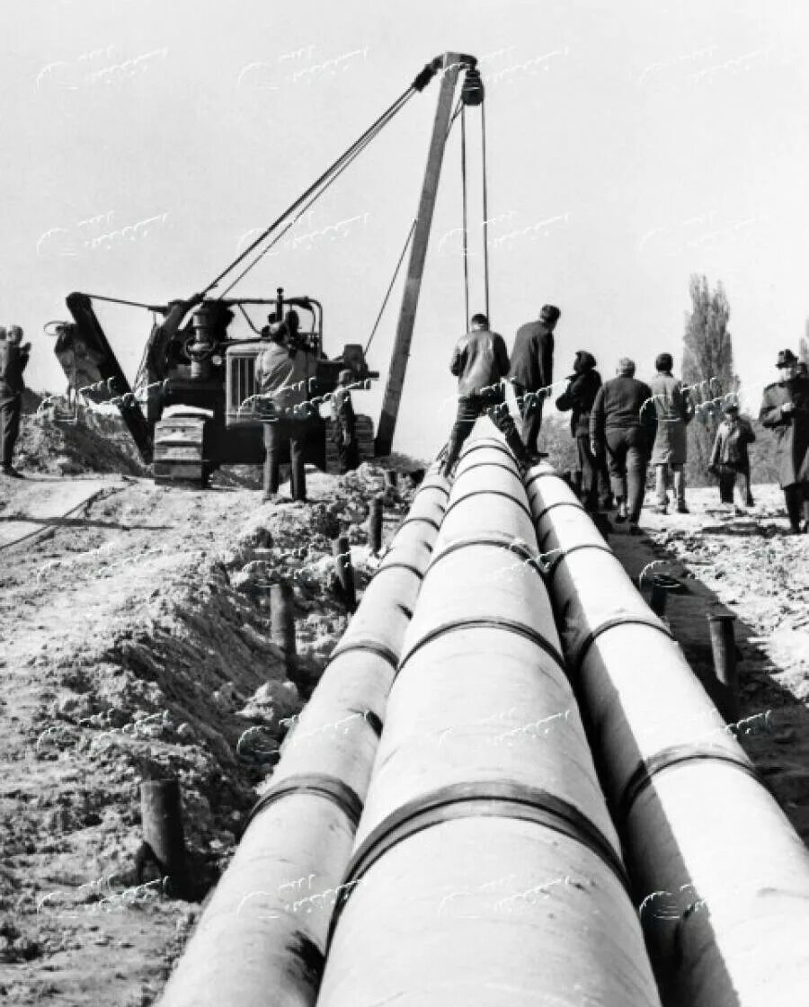 Нефтепровод дружба год. Нефтепровод Дружба 1964. Магистральный нефтепровод Дружба. Нефтепровод Дружба труба. Нефтепровод Дружба 1962.