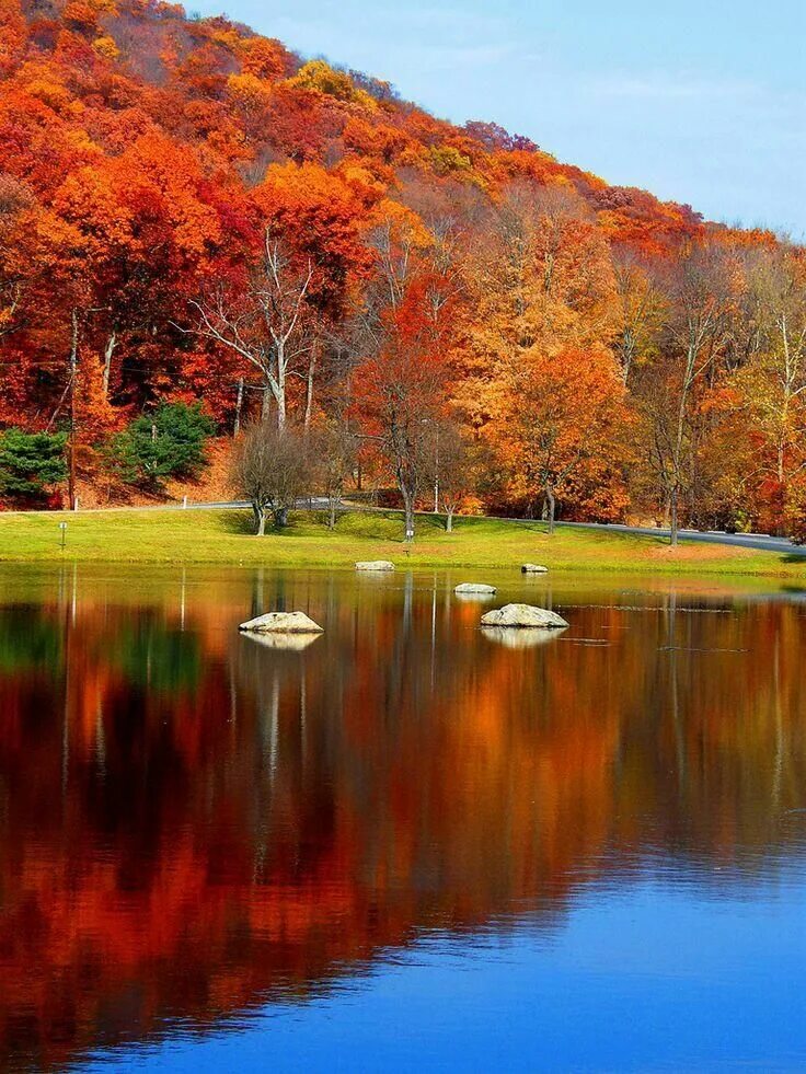 Красивая осень. Природа осенью. Красота осени. Пейзаж осени.