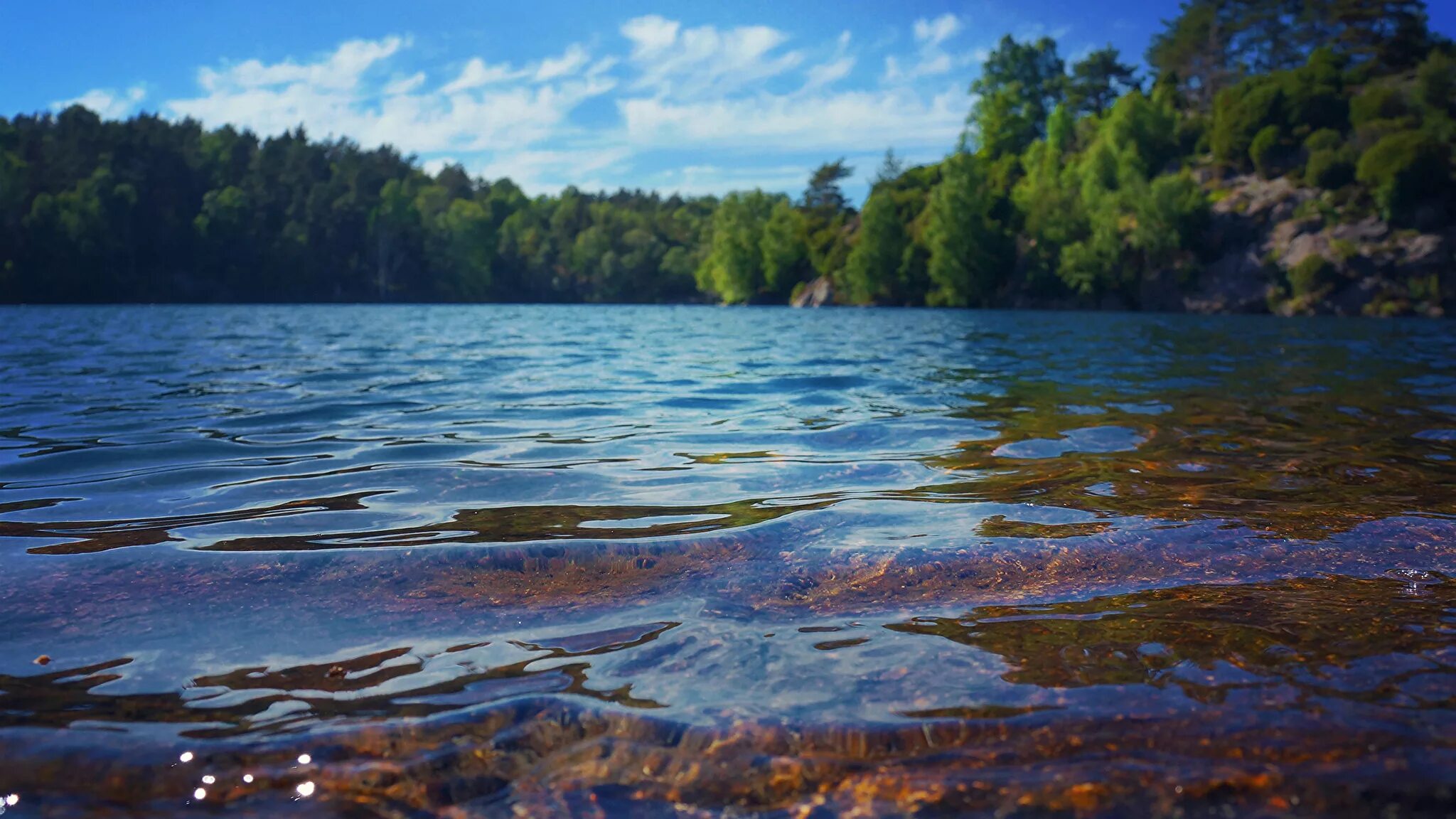 Вода озеро свет. Озеро Сапшо Смоленская область. Высокинское озеро. Высокинское озеро пляж. Озеро Яльчик.