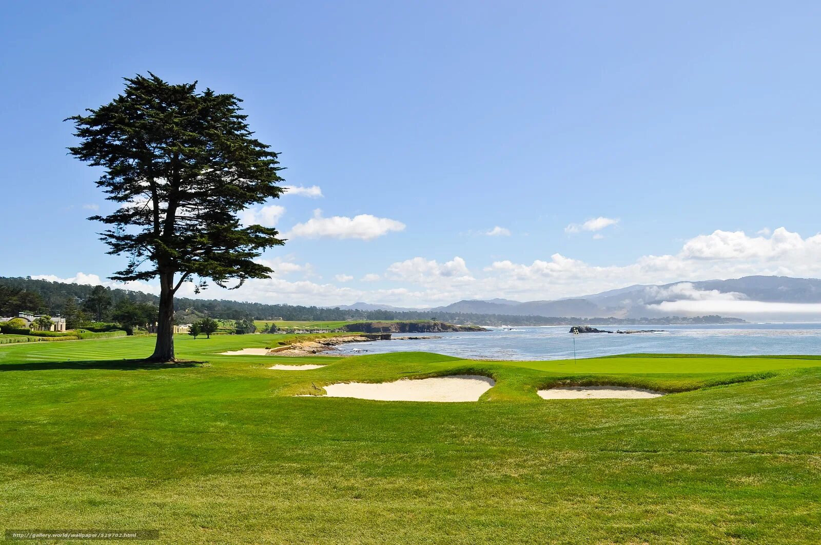 Tree course