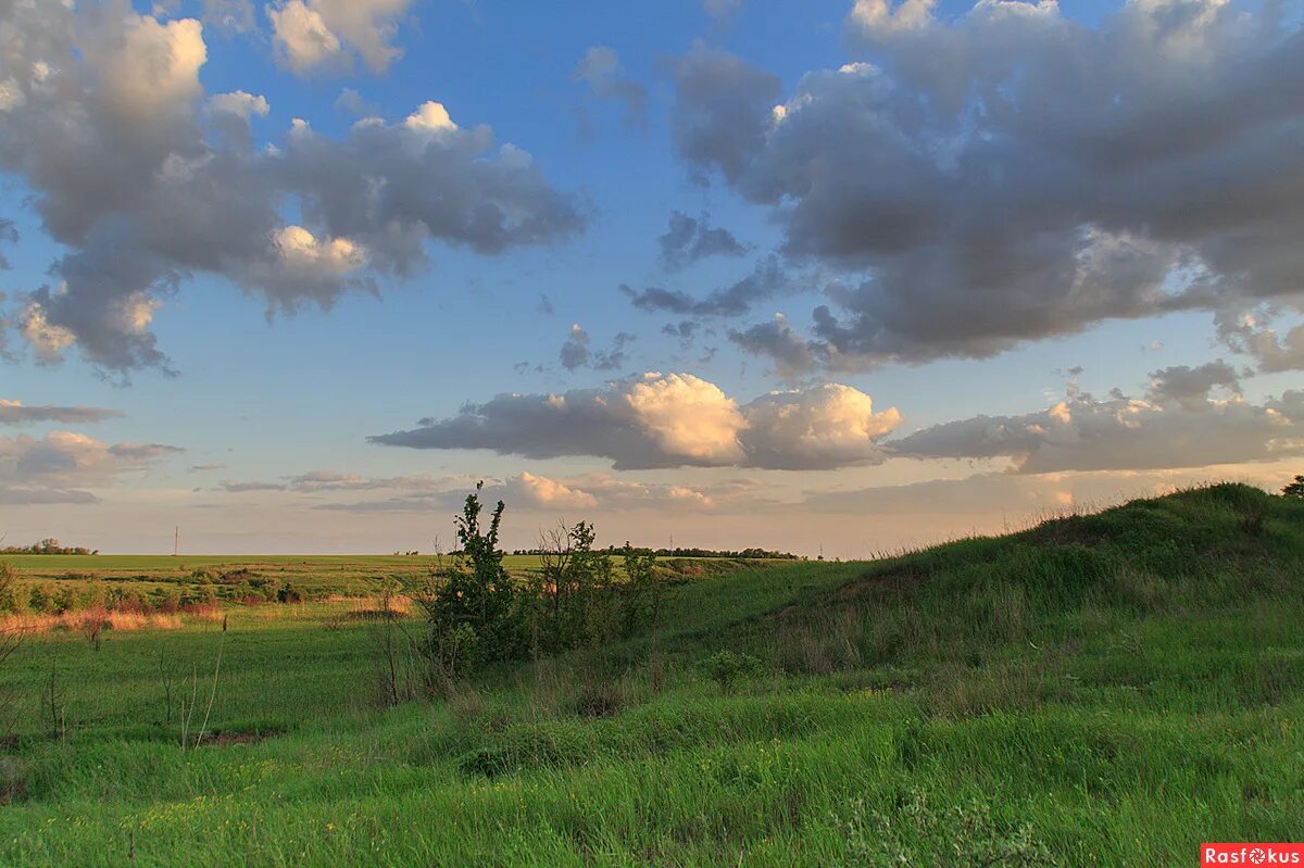 река гок ставропольский край. речное и степное раздолье. язык великолепный наш язык бальмонт. фёдор лашков фотограф река. поле река деревня.