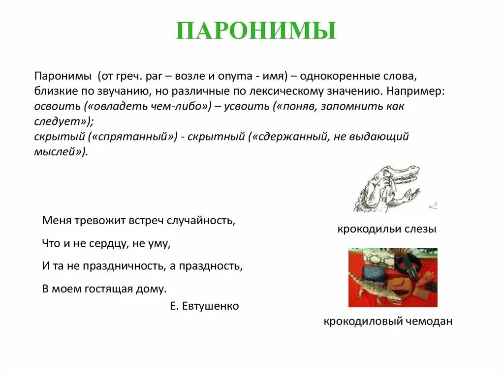 Паронимы. Паронимы примеры. Паронимы примеры слов. Что такое паронимы в русском языке с примерами. Пять предложений паронимов