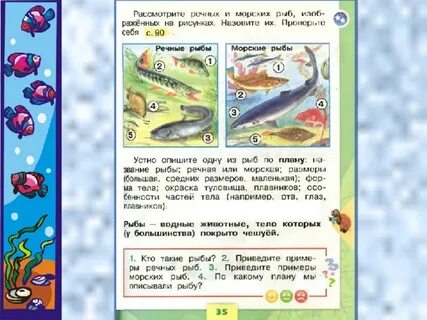 Окружающий мир 1 класс рыбы
