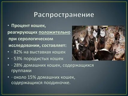 Вирусный перитонит кошек