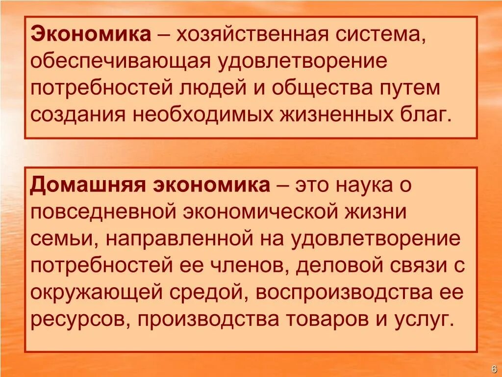 Домашняя экономика. Домашняя экономика это наука. Реферат по технологии домашняя экономика. Наука о повседневной экономической жизни семьи это.