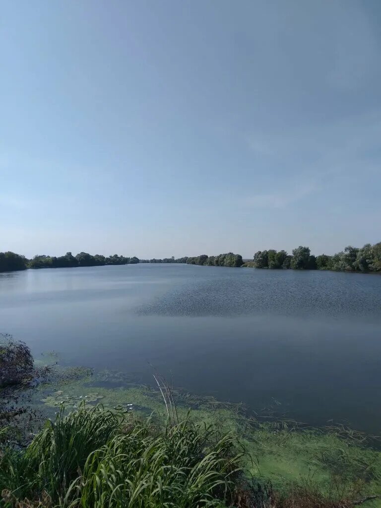 Поселок рыболово. Озеро рыболово. Лесная поляна 1. Поселок рыболово. Участок в подпорининские просторы.