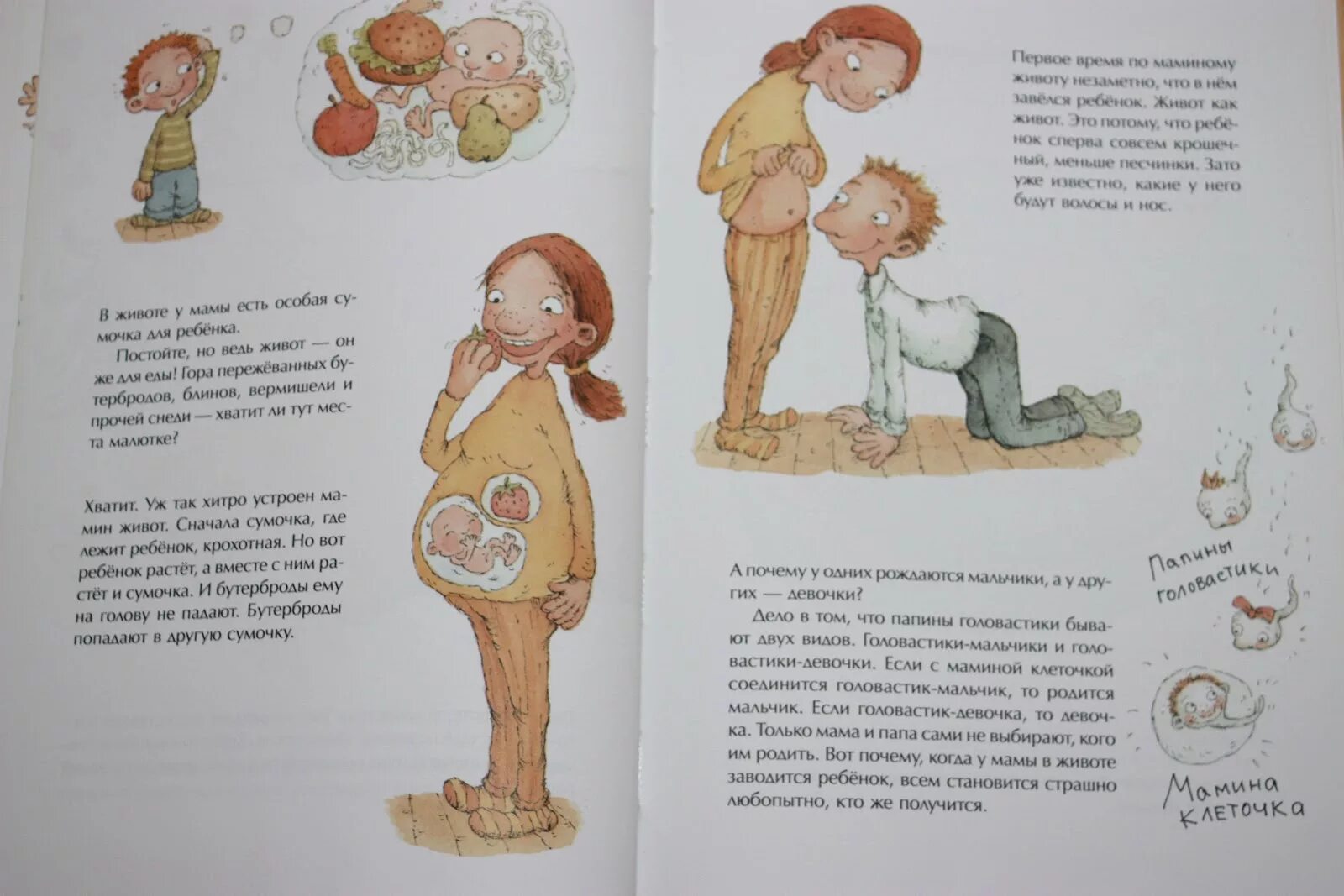 Как я появился на свет Катерина Януш. Книжка как я появился на свет. Как я появился на свет. Страницы книги как я появился на свет