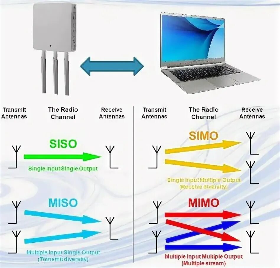 Mimo org. Mimo org