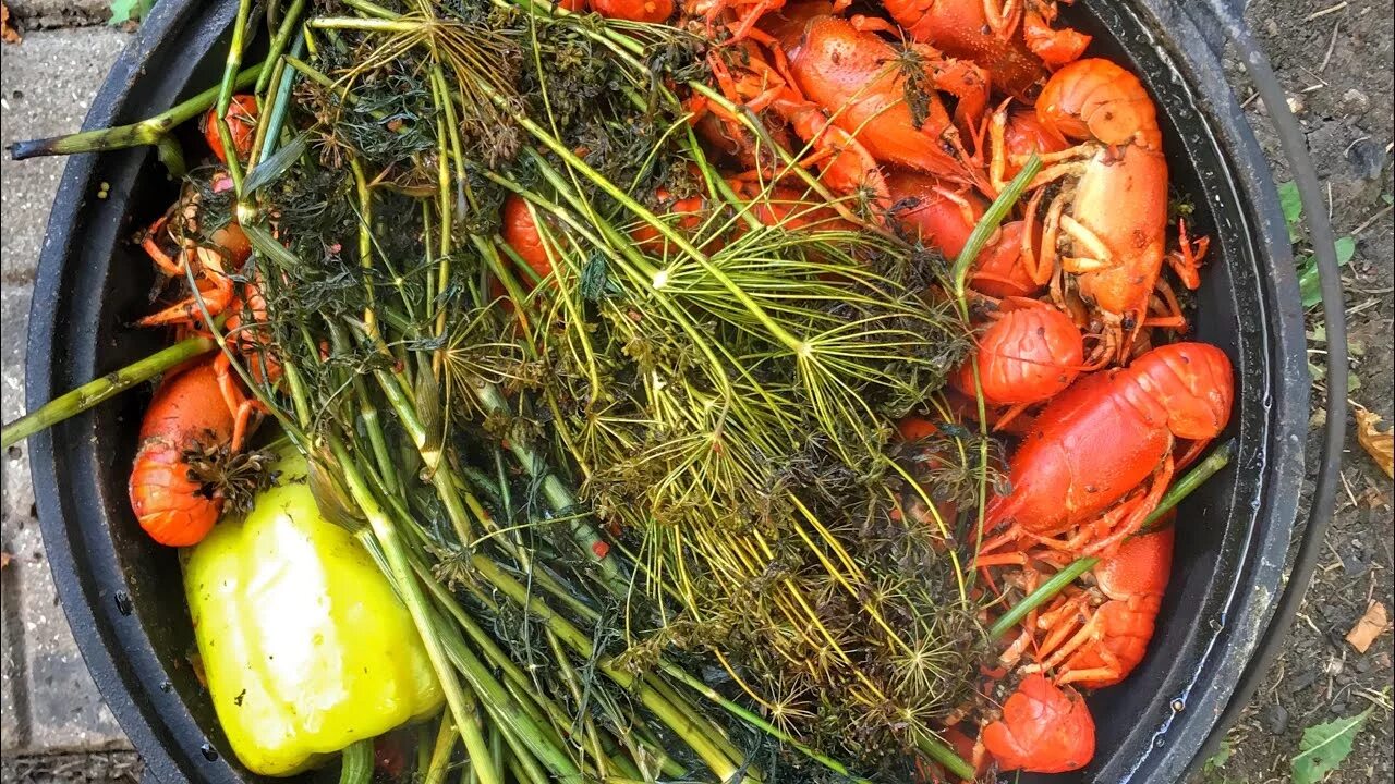 Рецепт донской чапры. Шашлык на костре. Вареные креветки на костре. Уха на природе на костре. Уха в казане на костре.