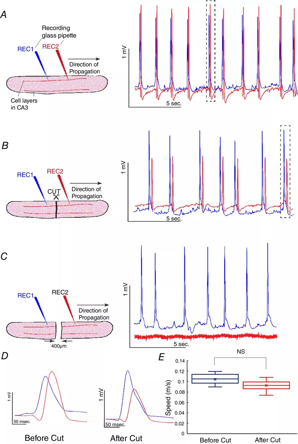 запретная археология необъяснимые находки. артефакты корпоративной культуры примеры. артефакты культуры примеры. Heroes of might and magic 5 колесо умений. артефакты в экспериментах.