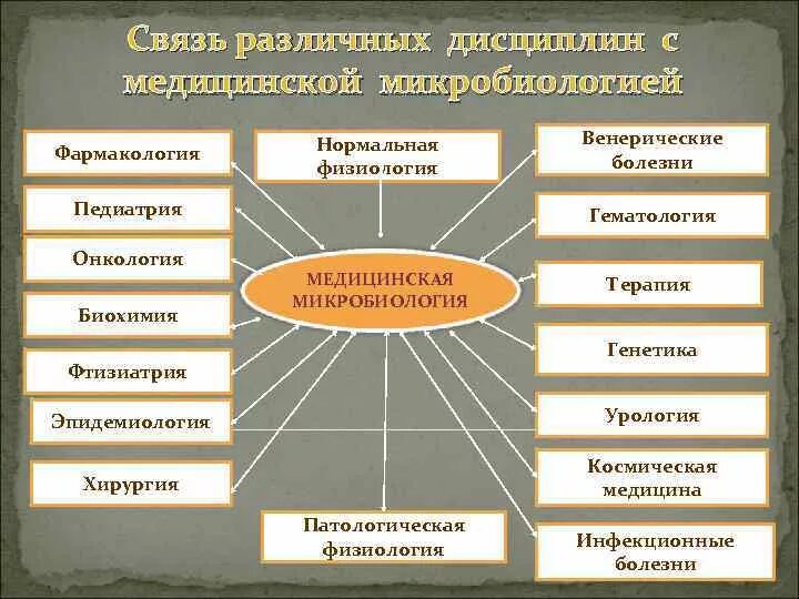 Науки связанные с методикой. Связь микробиологии с другими науками. Связь микробиологии с другими дисциплинами. Связь микробиологии с другими науками кратко. Связь микробиологии с другими биологическими науками.