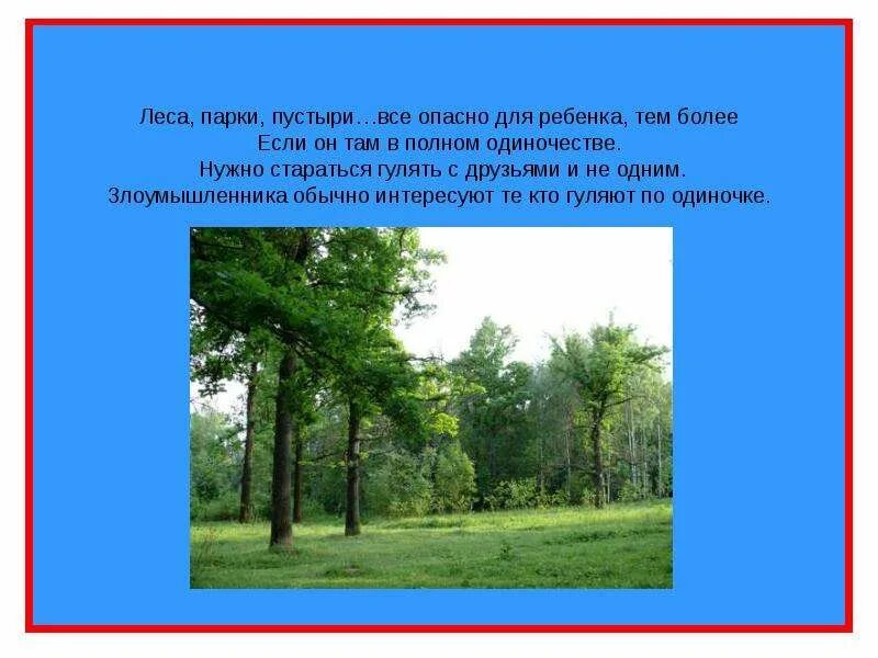 Лосиный остров доклад. Зеленоград лесопарковая зона. Описание лесного парка. Томилинский лесопарк велодорожки. Национальный парк лосиный остров доклад.