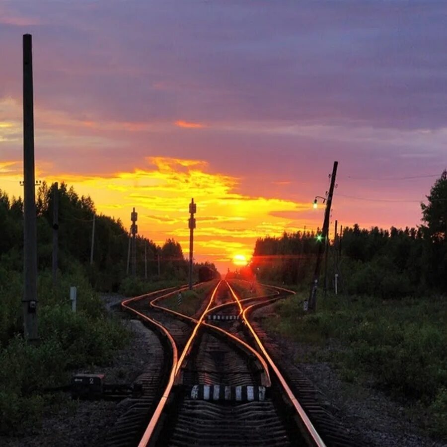 Россия живет дорогами. Развилка железной дороги. Дороги перепутье. Дорога с развилкой. Развилка железнодорожных путей.
