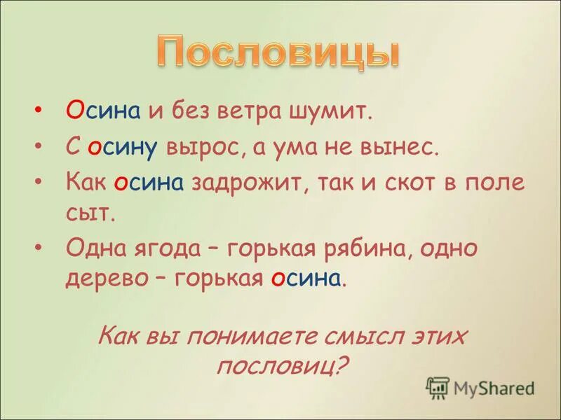 Ветра нет и нет ни. Ветра нет и нет ни. Пословицы о осине. Ветра нет и нет ни. Гдз по русскому языку 7 класс ладыженская номер 450.