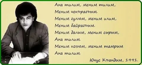 Анам татарский