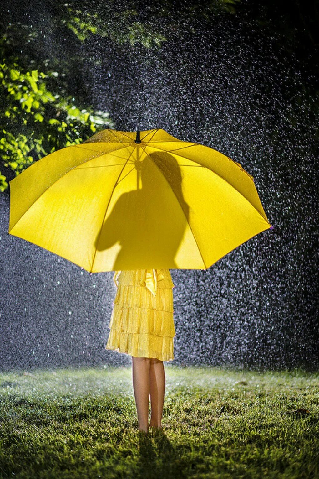 Девушка под зонтиком. Девушка с зонтиком. Красивый зонт. Девушка с зонтиком под дождем. Девочка под зонтом.
