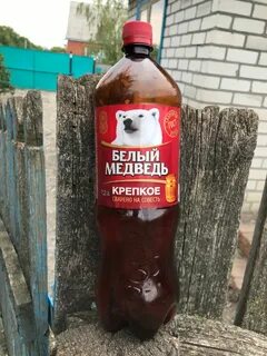 Белый медведь крепкое