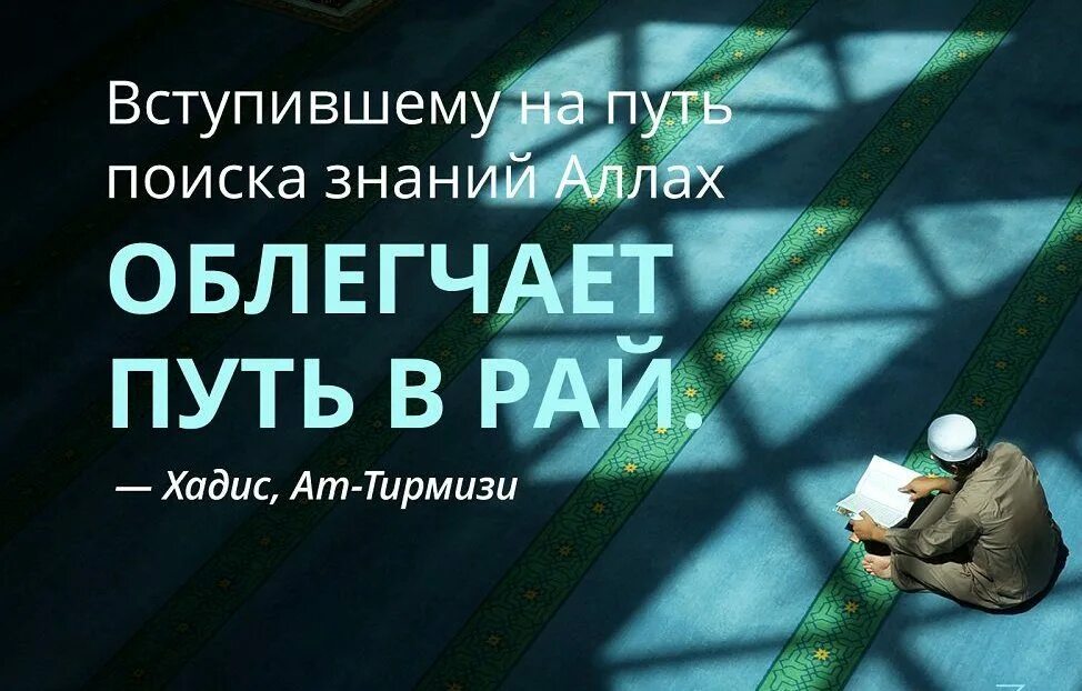 Требующий знания в исламе. Хадис. Искать хадис. Хадис. Искать хадис.