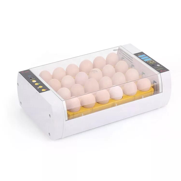 Инкубаторы для яиц автоматические купить на озоне. Egg incubator 24 инкубатор Mini. Инкубатор Egg incubator HHD YZ-24a. Инкубатор автоматический на 24 яйца HHD. Инкубатор HHD Mini 24.