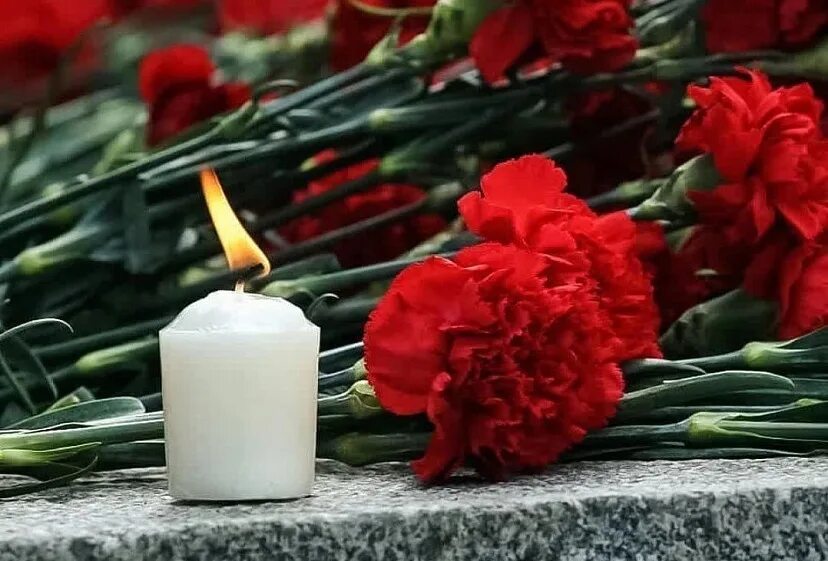 Траурные свечи и цветы. Свеча и цветы траур. Цветы и свечи. Цветы траура. Цветы скорби.