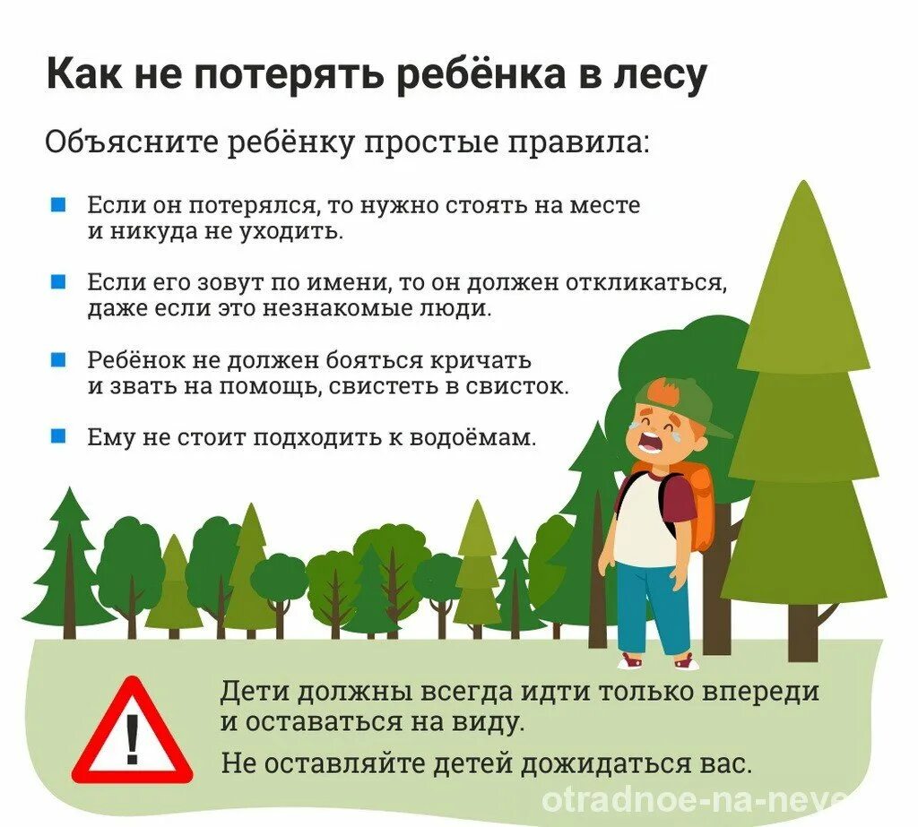 Можно ли посещать леса. Как не заблудиться в лесу памятка для детей. Памятка если заблудился в лесу. Если заблудился в лесу памятка для детей. Памятка для детей чтобы не заблудиться в лесу.