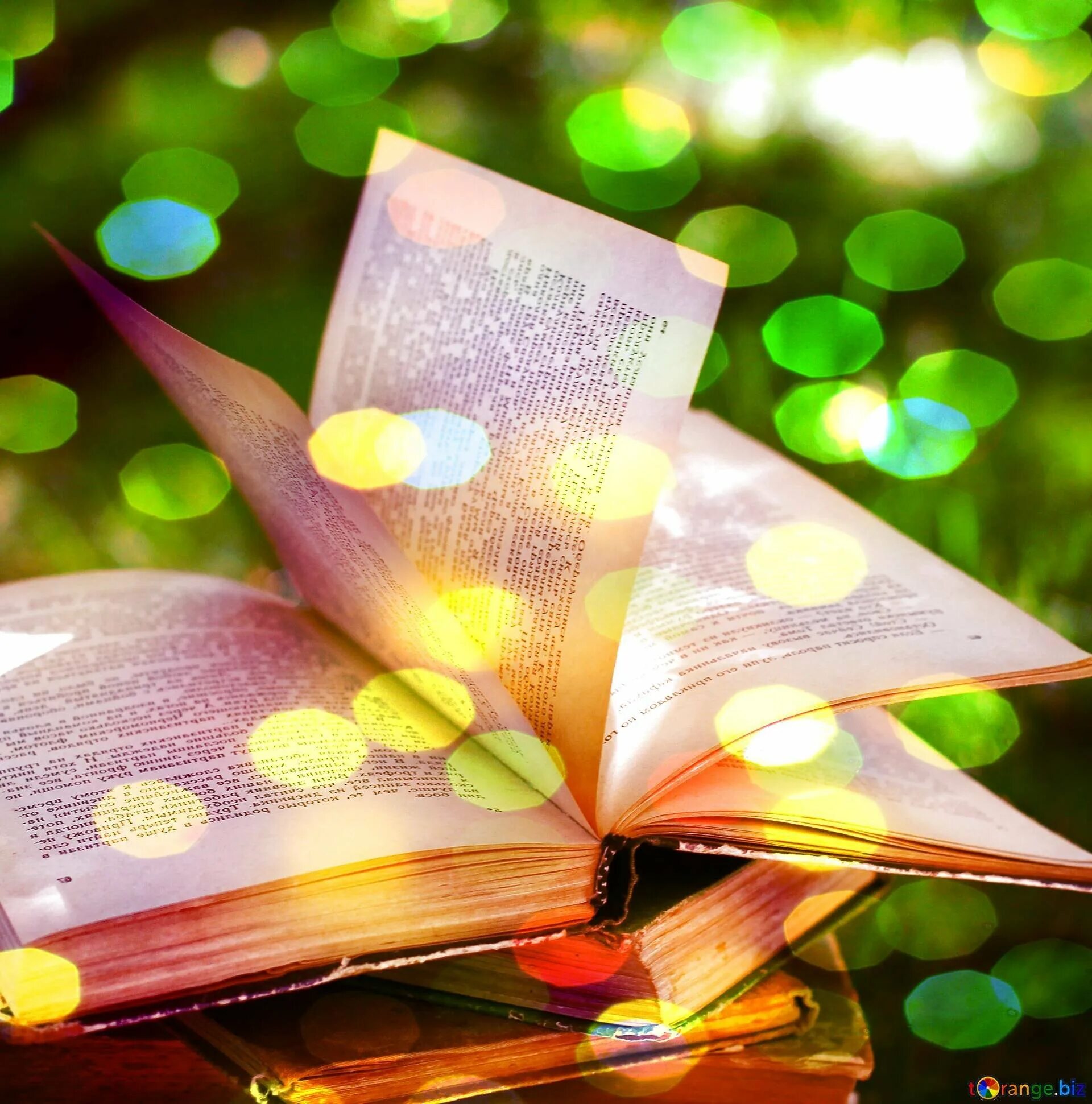 Магическая книга. Красивое волшебство. Волшебные картинки на рабочий стол. Гарри поттер школа волшебства. Книга волшебный мир.