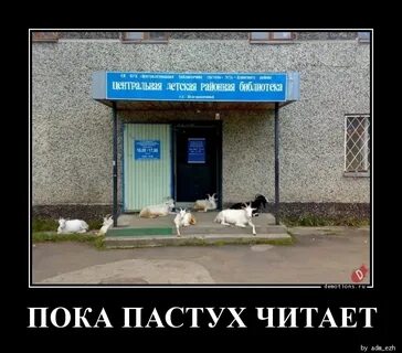 Пока пароль