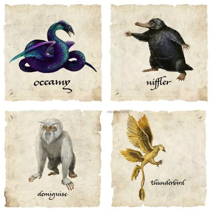 Different creatures. Different creatures