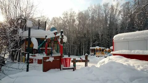 Лесная сказка бердск