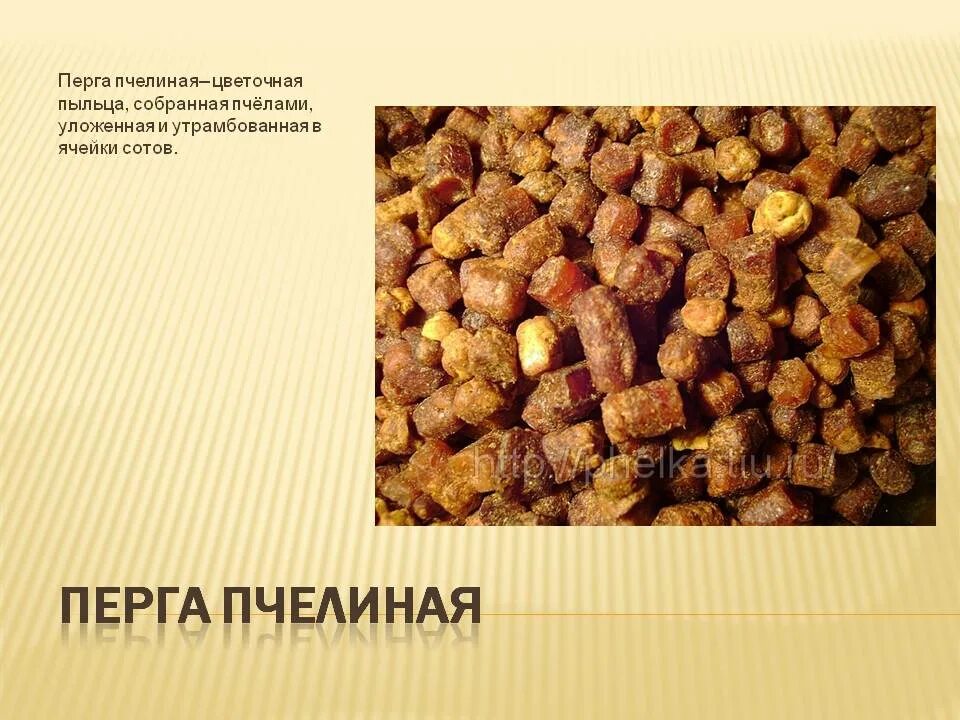 Перга для человека. Хлеб перга пчелиный состав. перга пчелиная перга пчелиная. перга продукты пчеловодства. пчелиная перга лечебные.