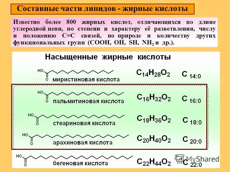 Формула жирных кислот общая формула. Насыщенные и ненасыщенные жирные кислоты формулы. Высшие жирные кислоты формулы. Формулы насыщенных и ненасыщенных жирных кислот. Стеариновая кислота вступает в реакции