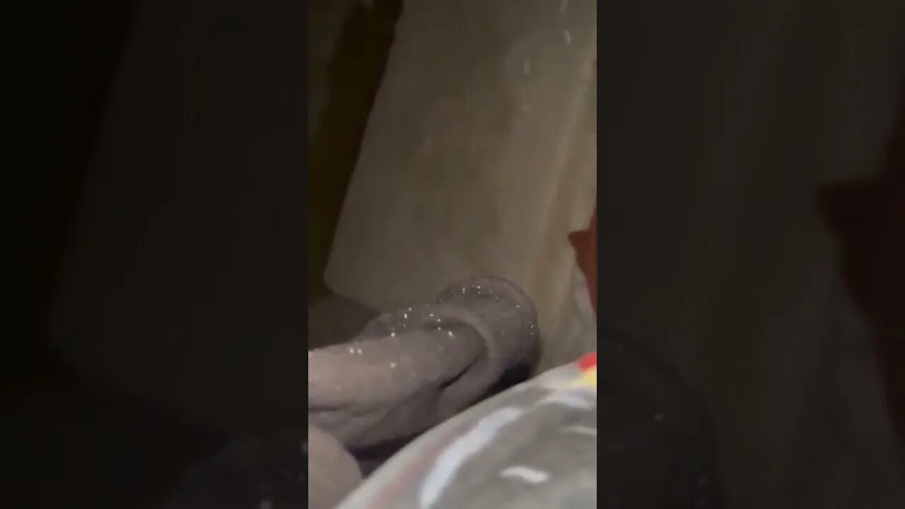 девушка ушла под лед на крещение видео. утонувшая женщина на крещение. девушка ушла под лед в крещение. анна ускова прорубь. река оредеж анна ускова.