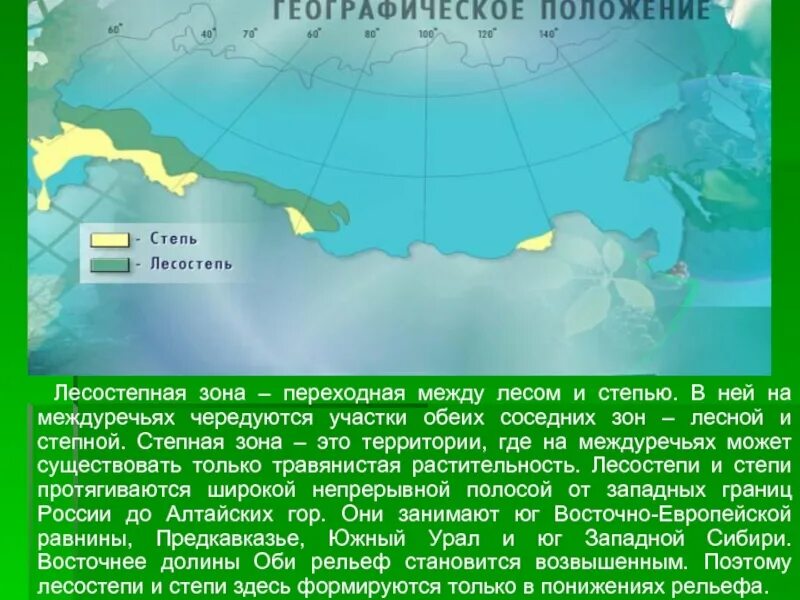 Лесостепи и степи 8 класс география тест. Географическое положение степи. Географическое положение степи в России. Географическое расположение лесостепей и степей. Географическое положение лесостепи.