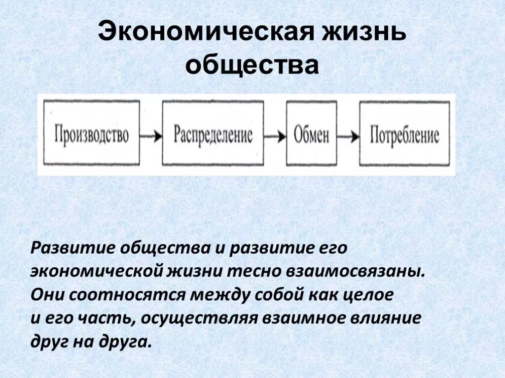 Экономика в становлении общества