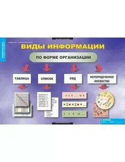 12 видов года