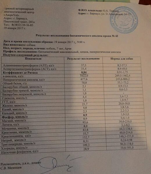 Можно сдавать анализ крови при простуде. Показатели исследования на аллергию. Анализ крови на аллергены. Показатель аллергенов в анализе крови. Анализ крови при аллергии.